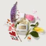 کرید اونتوس