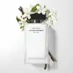 نارسیسو رودریگز