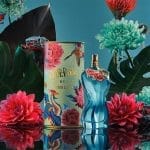 پارادیس-گاردن