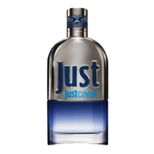 عطر روبرتو کاوالی جاست مردانه Roberto Cavalli Just Cavalli for Men