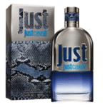 عطر روبرتو کاوالی جاست مردانه Roberto Cavalli Just Cavalli for Men